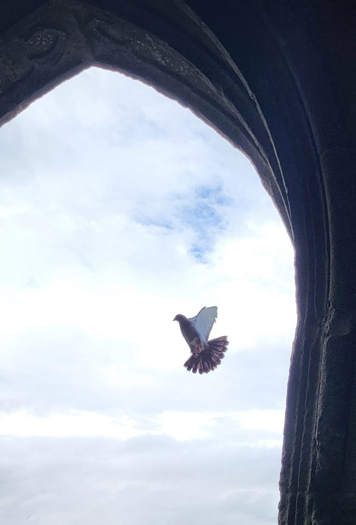 glastonbury 5